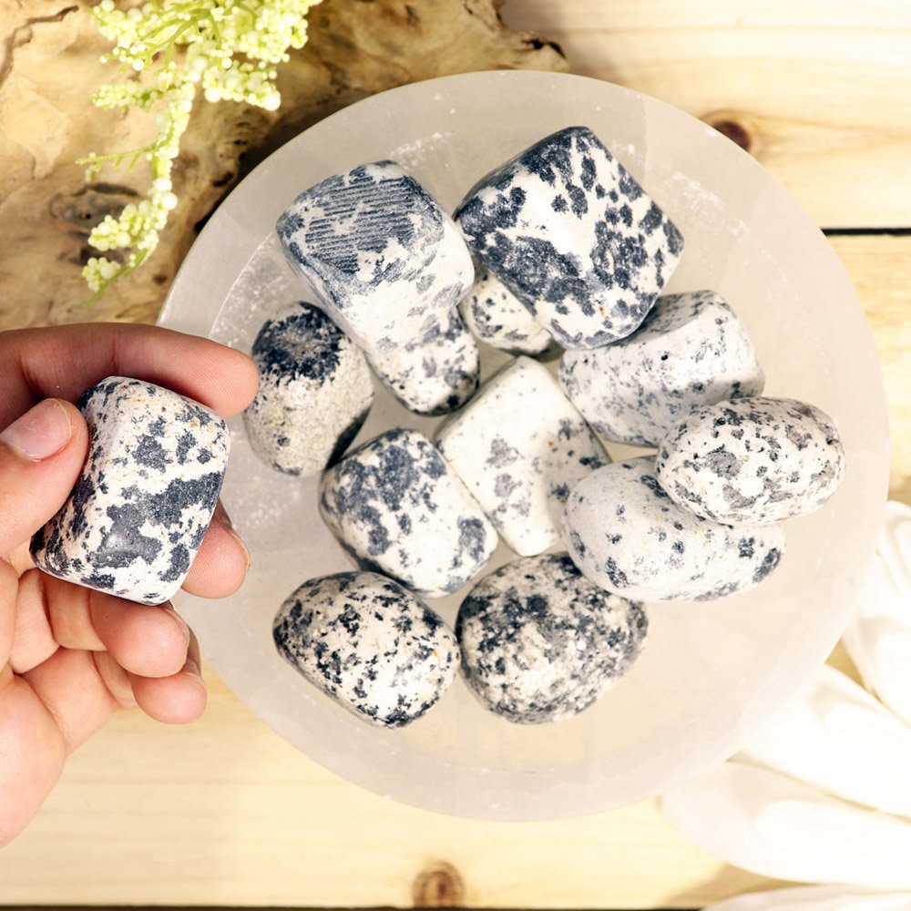 Dalmatian Jasper Tumbled Stones, Root Chakra, Sacral Chakra, Reiki, Energy Healing