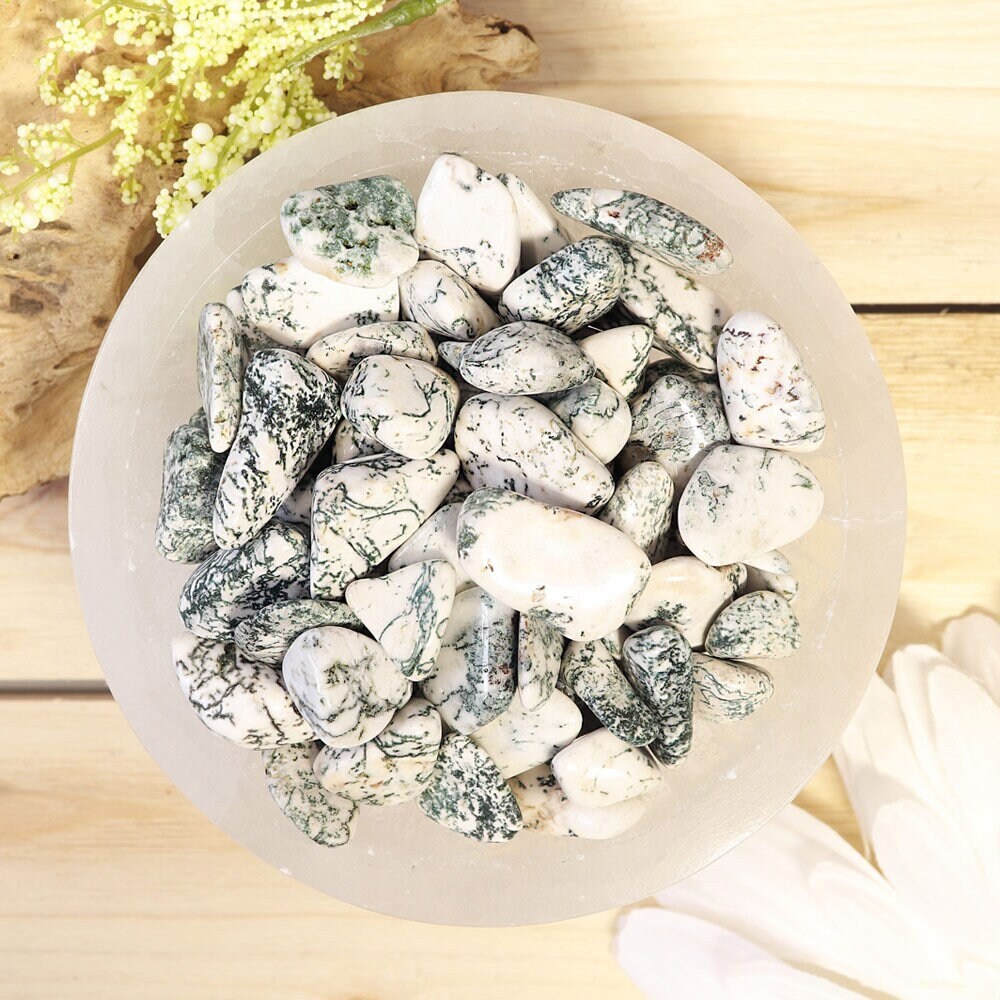 Wholesale Lot of Tree Agate Tumbled Stones, Natural Polished Gemstone, Jewelry, Gift for Her, DIY, Ethically Sourced