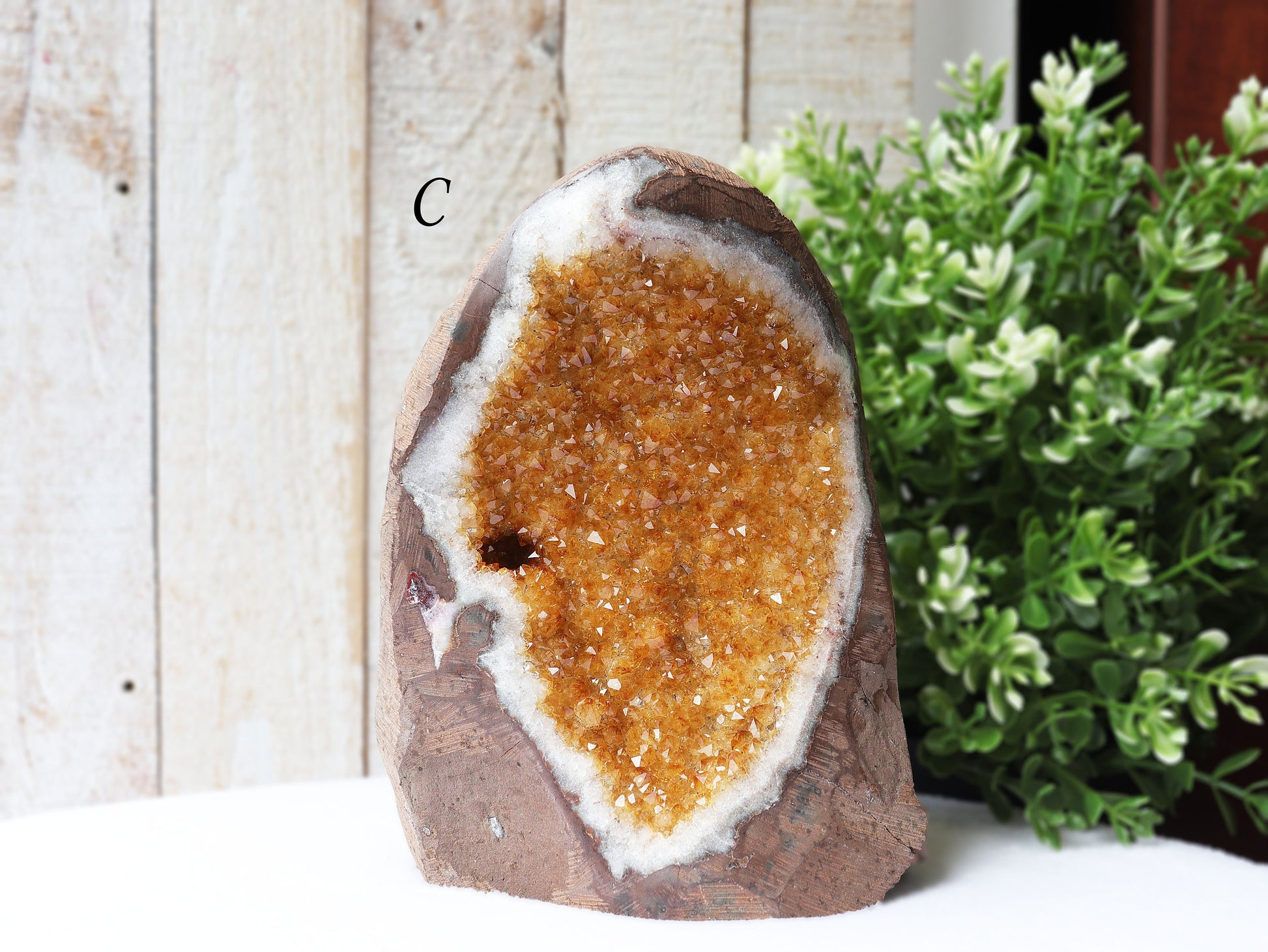 Extra-Large Grade A Citrine Base Cut, Citrine Druzy Cluster, Crystal Stand Up, Ethically Sourced - PICK YOUR OWN