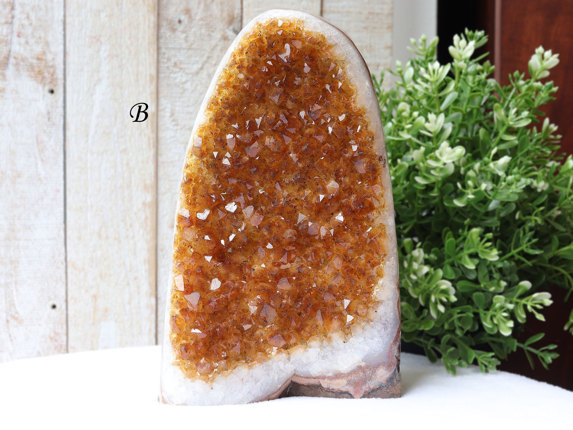 Extra-Large Grade A Citrine Base Cut, Citrine Druzy Cluster, Crystal Stand Up, Ethically Sourced - PICK YOUR OWN